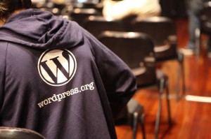 21-WordPress-Hoodie